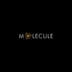 Molecule (1)
